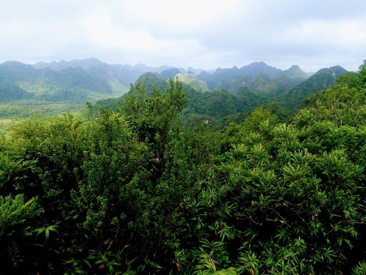 Nam Phuong Hotel Dong Khe Sau Zewnętrze zdjęcie